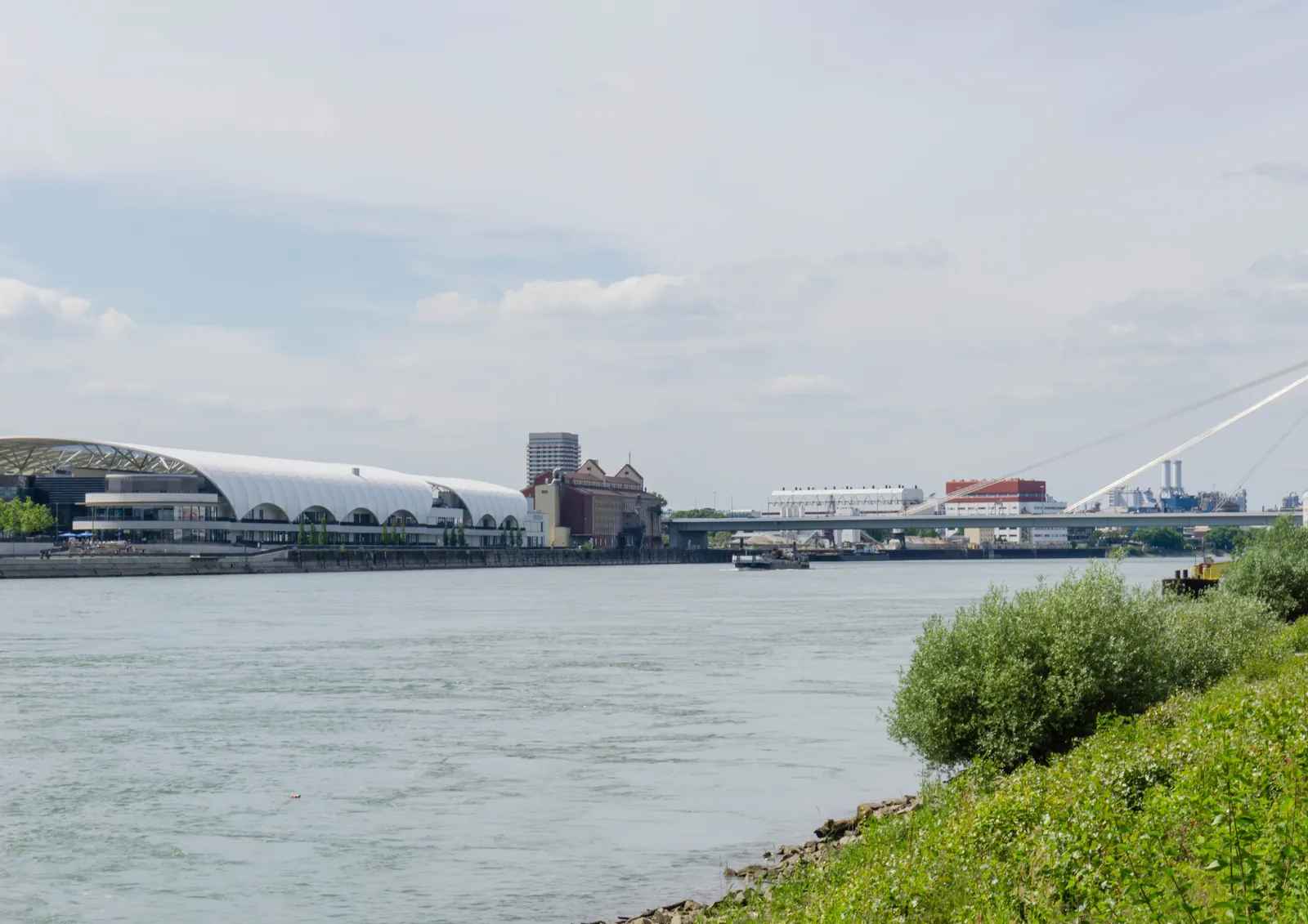 Rheinufer in Ludwigshafen mit Blick auf das geschwungene Dach der Rhein-Galerie